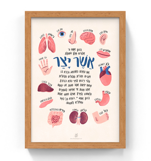 Asher Yatzar hebrew blessing art childrens room
