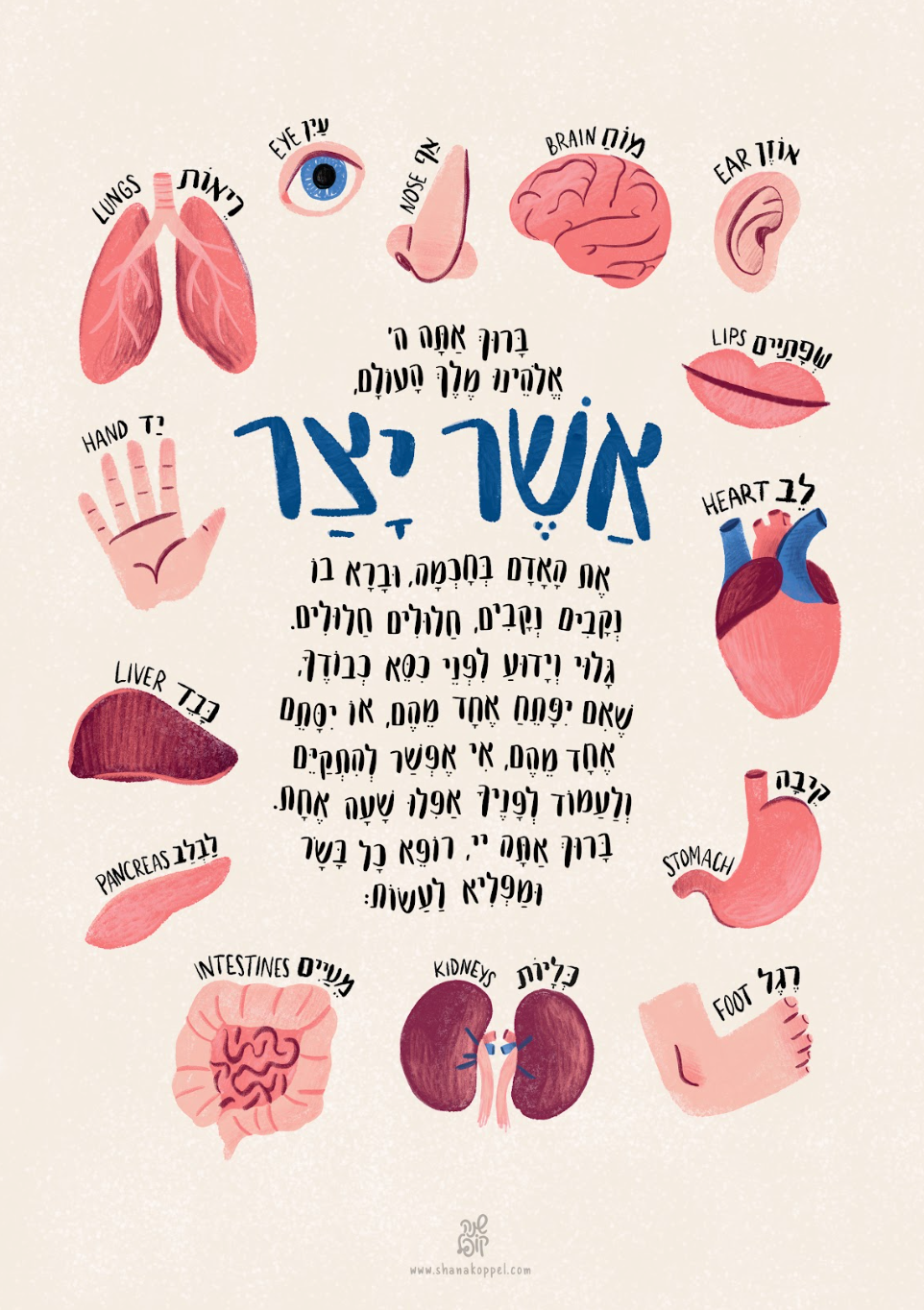 Asher Yatzar hebrew blessing art childrens room