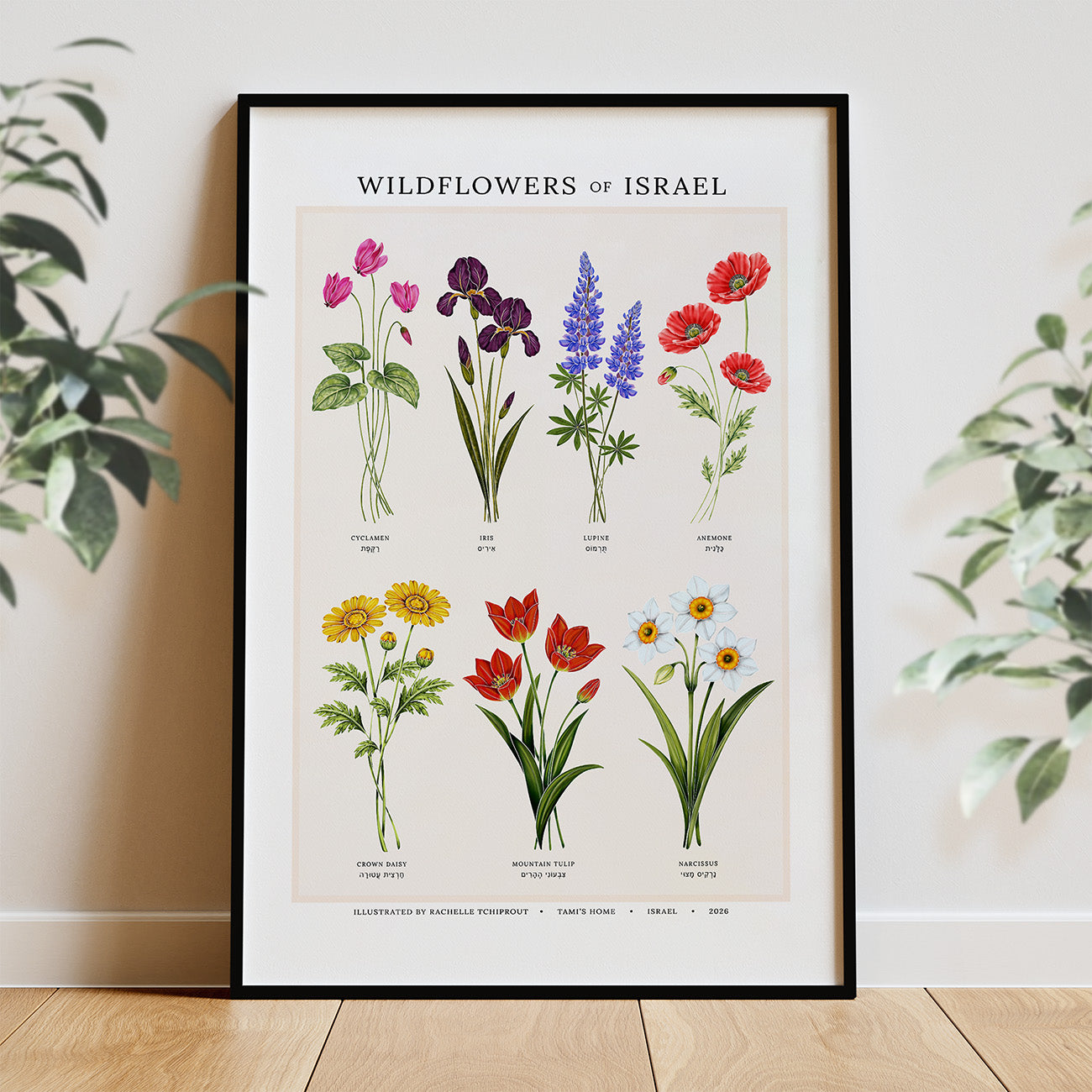 Framed poster of 'Wildflowers of Israel' with illustrations of various flowers on a light background.