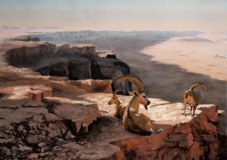"Mitzpeh Ramon at Sunset" Print by Avraham Vofsi