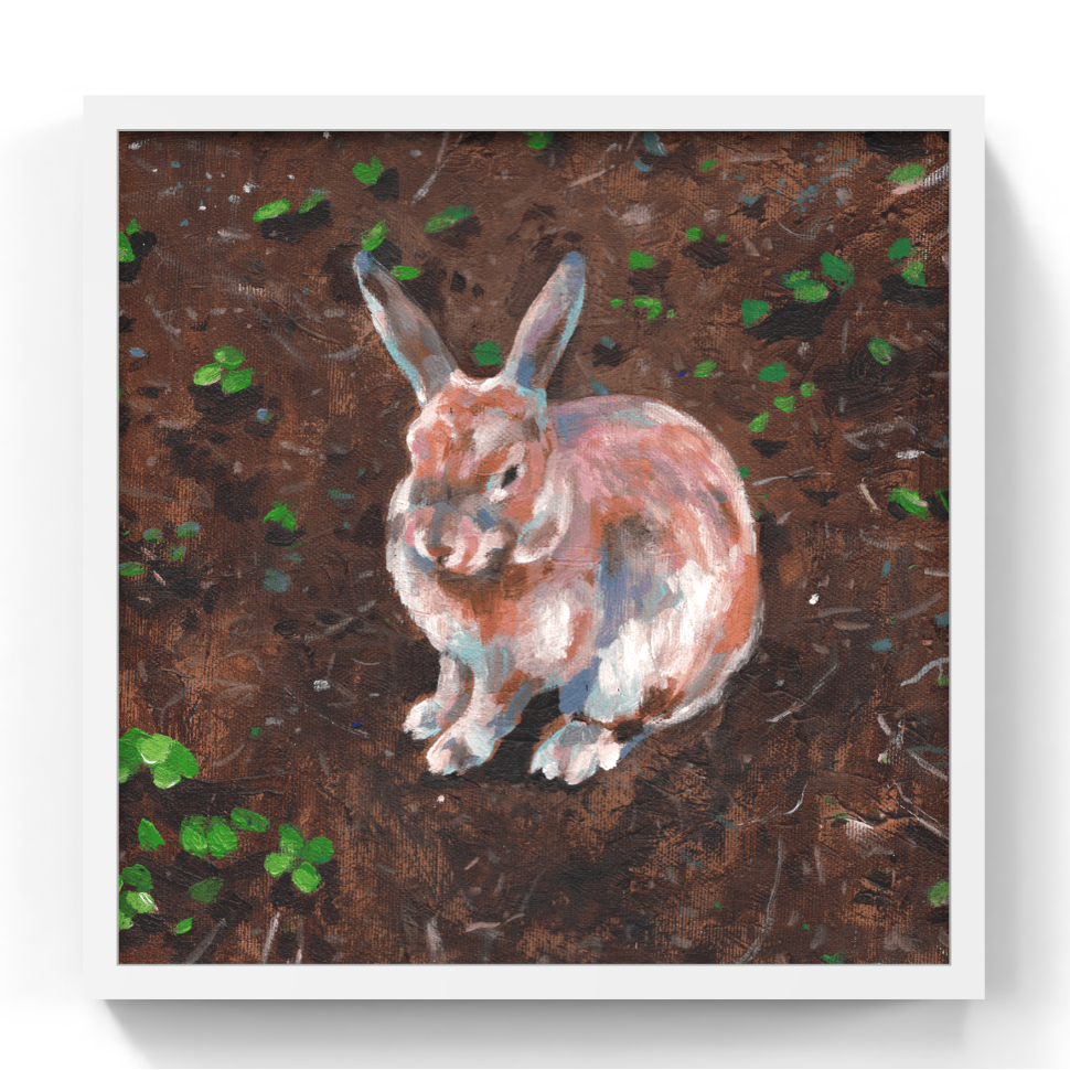 A square framed painting of a brown and white rabbit sitting on dark brown soil with small green plants, presented on a white background with a drop shadow.