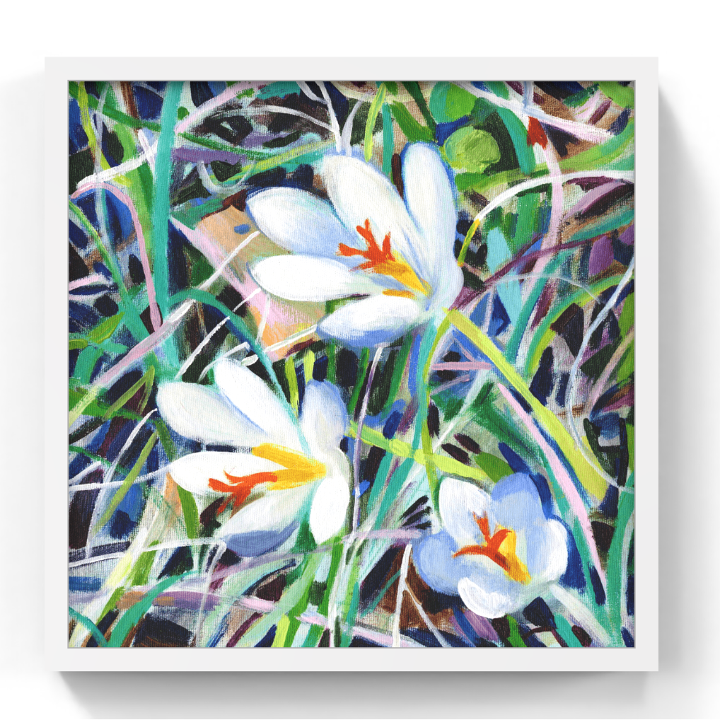 A framed square art print depicting three white crocuses with orange and yellow centers among green and blue grasses, shown against a clean white background.