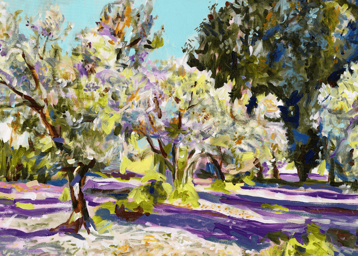 "Olive Grove" Print by Tali Yalonetzki