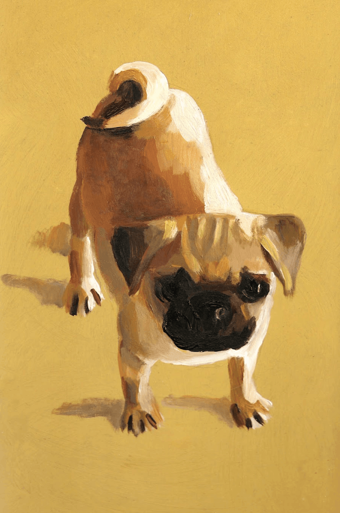 "Pug" Print by Tali Yalonetzki