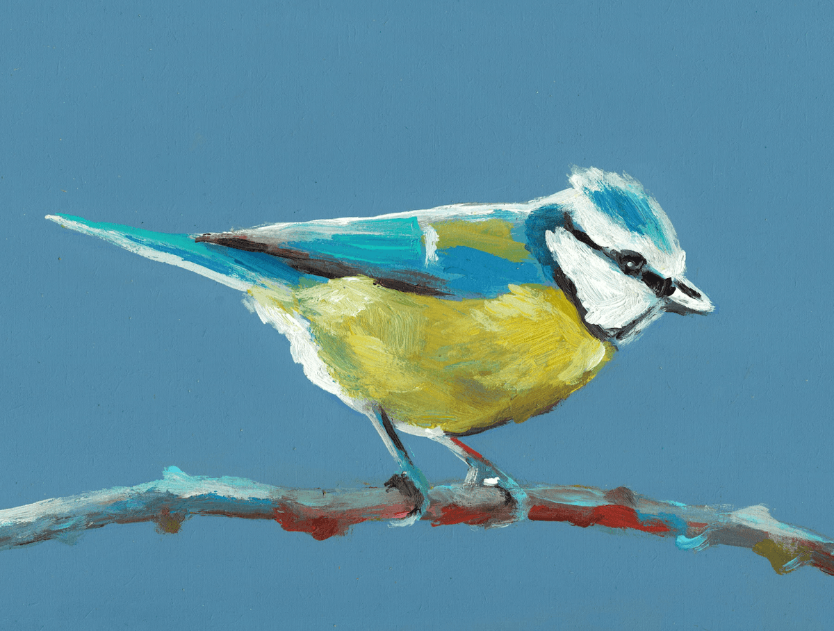 "Blue Tit" Print by Tali Yalonetzki