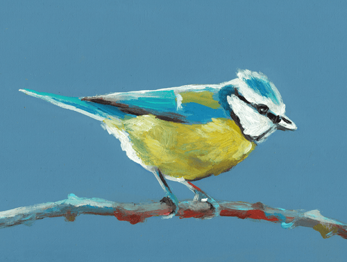 "Blue Tit" Print by Tali Yalonetzki