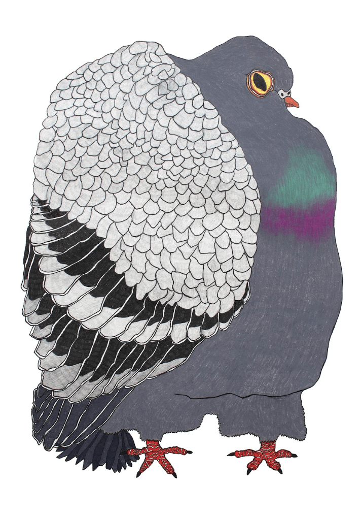 "The Pigeon" Print by David Elharar
