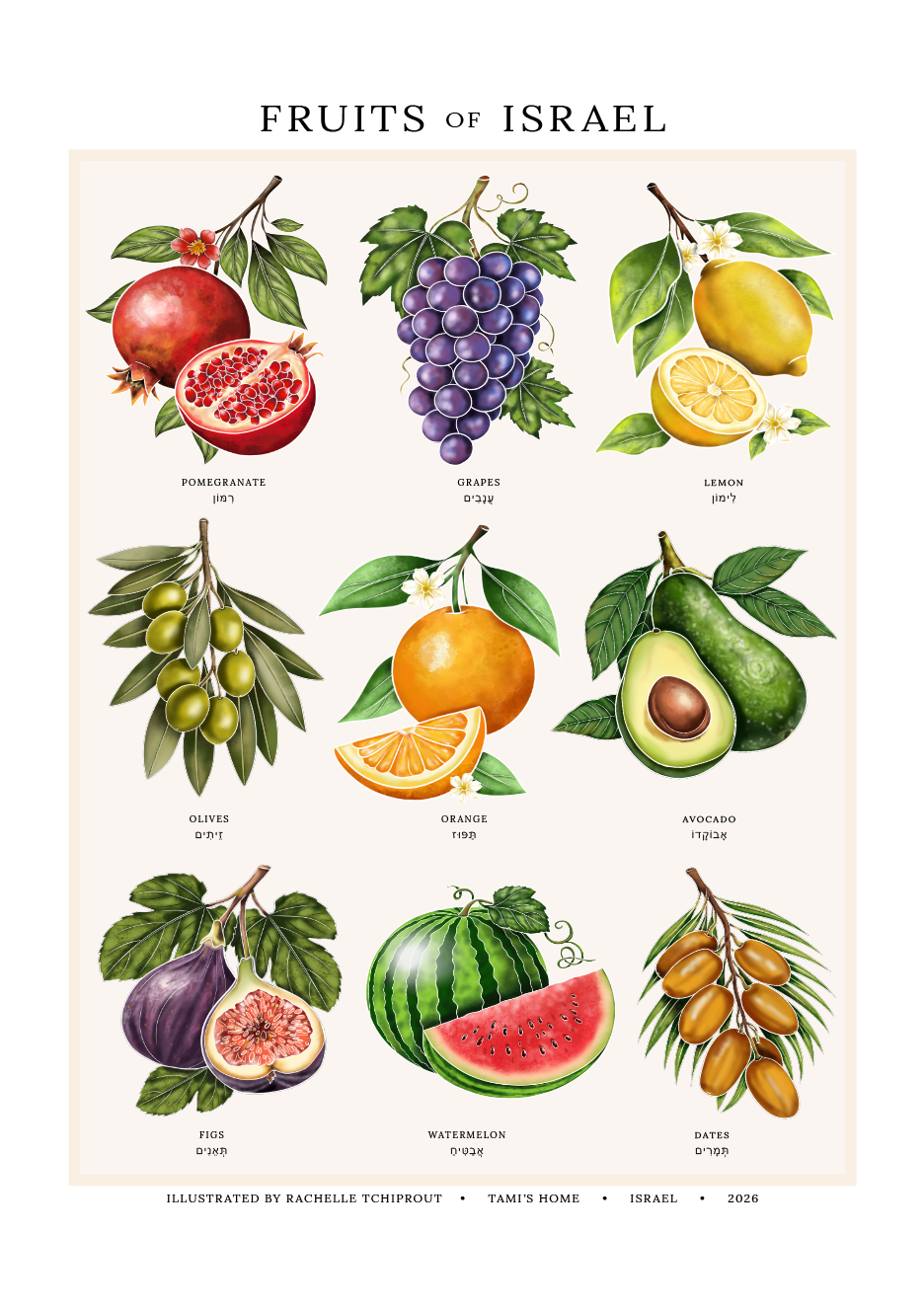 "Fruits of Israel" Botanical Print by Tami's Home