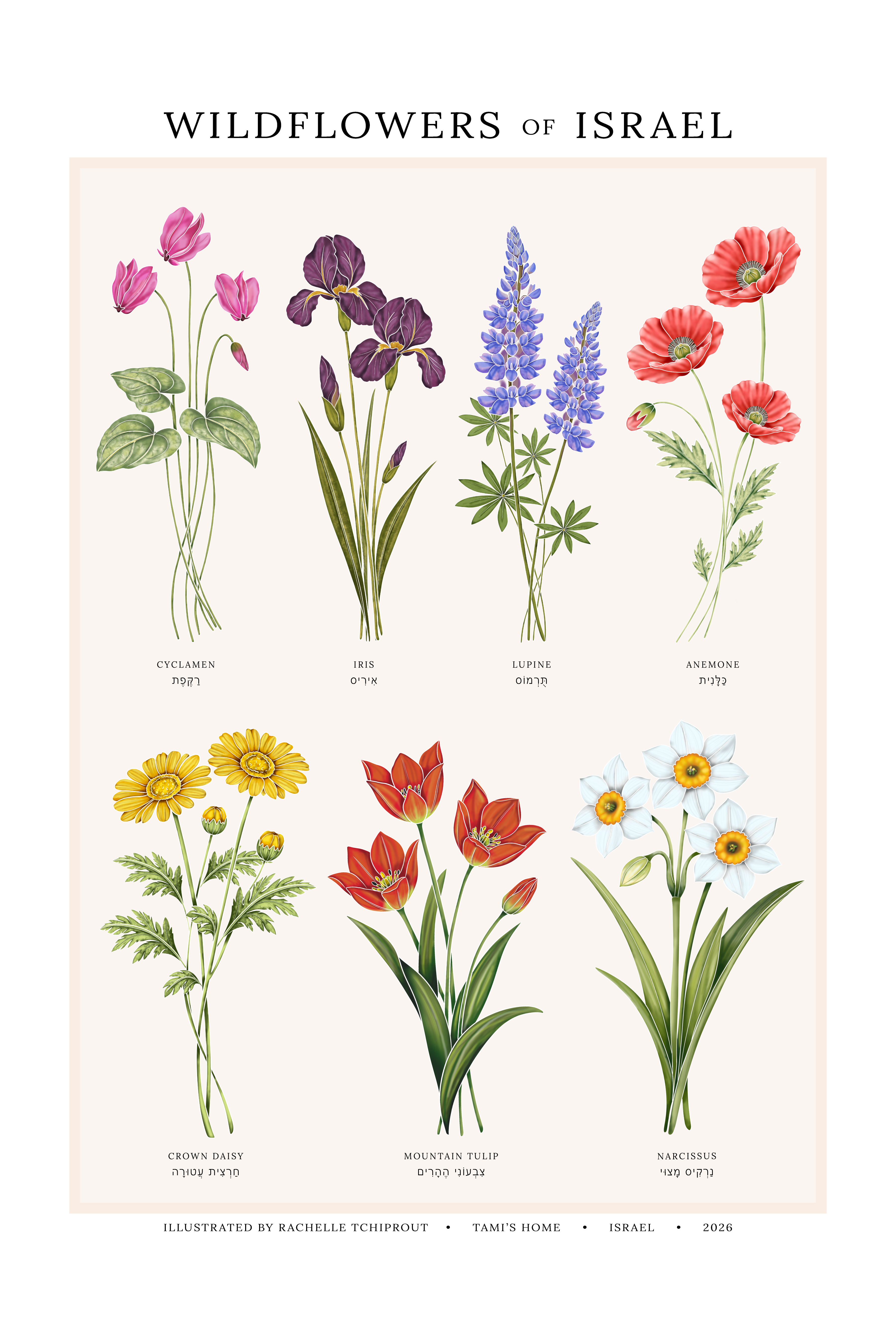 "Wildflowers of Israel" Botanical Print by Tami's Home