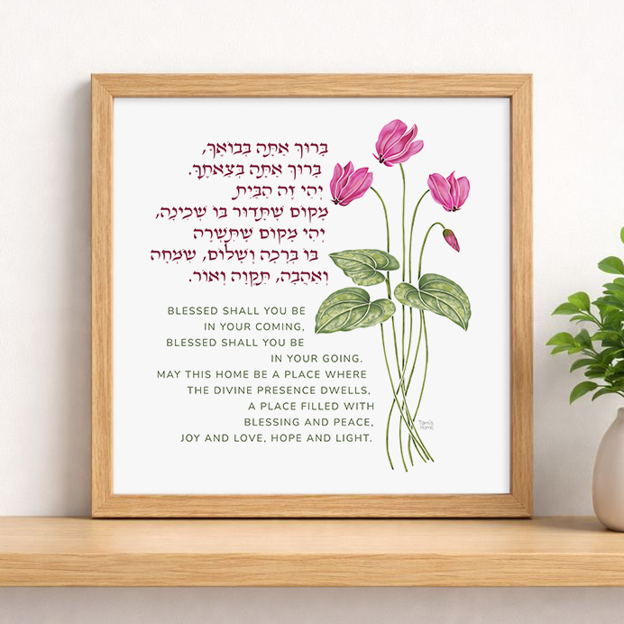 jewish home blessing pink cyclamen rakefet flowers