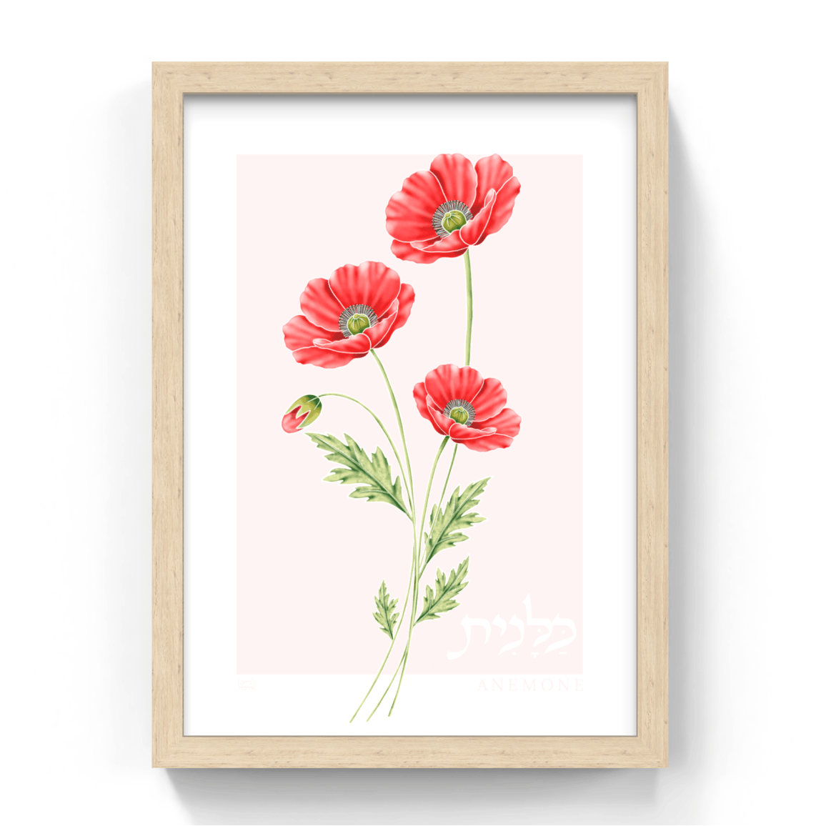 Framed artwork of red flowers on a white background