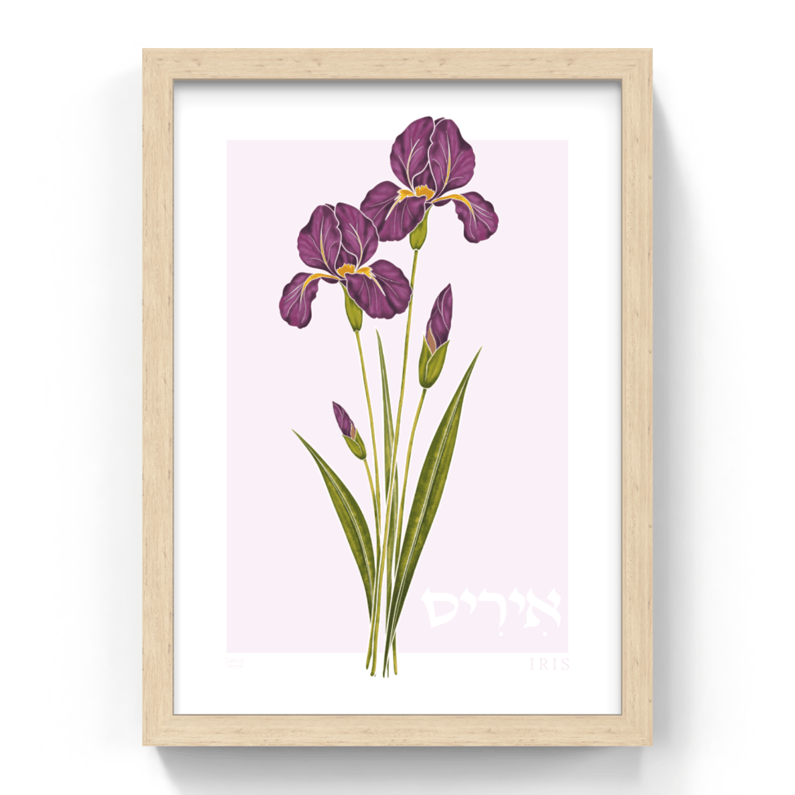 Framed artwork of purple flowers on a white background